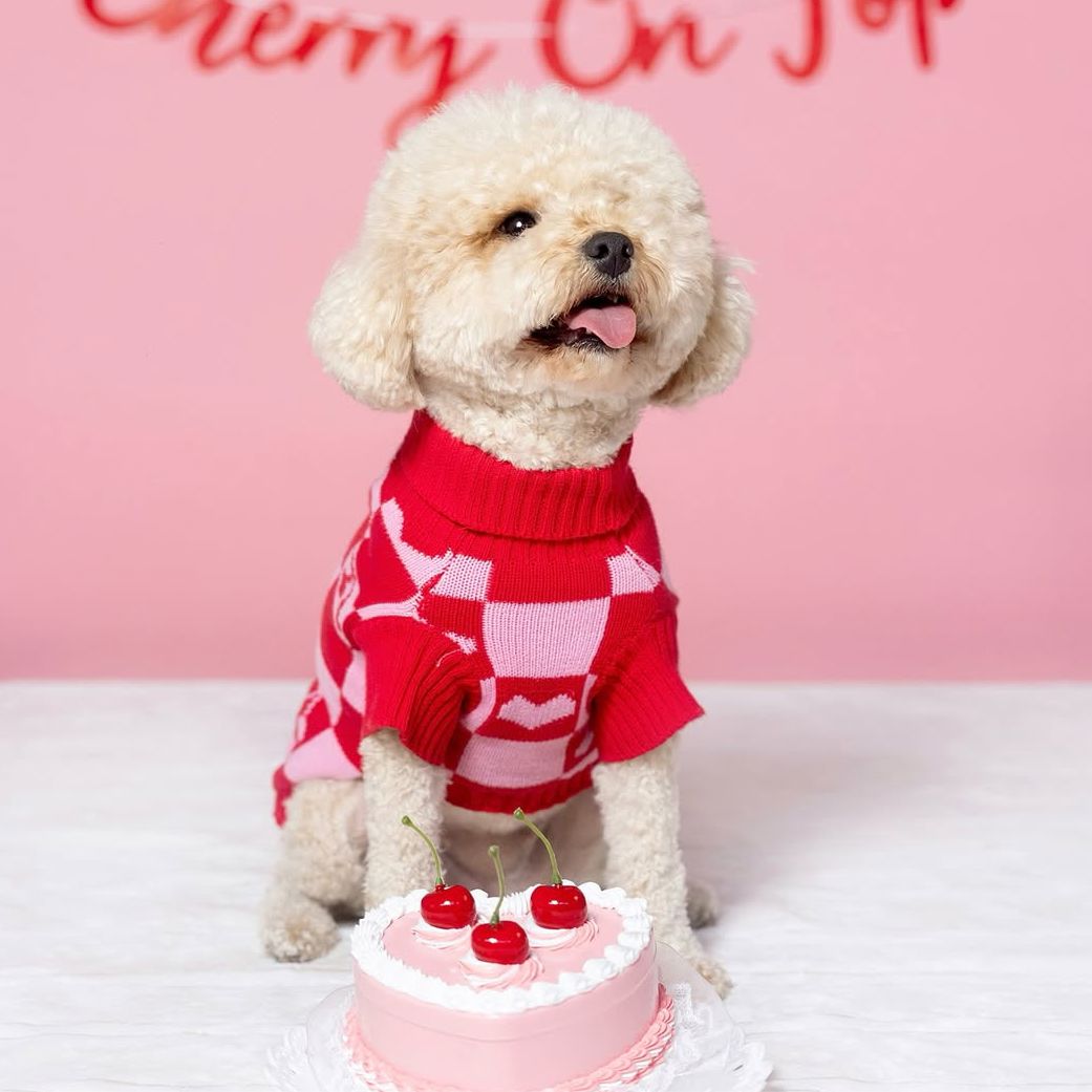 Roll Neck Dog Knitted Love Sweater Sunbean 