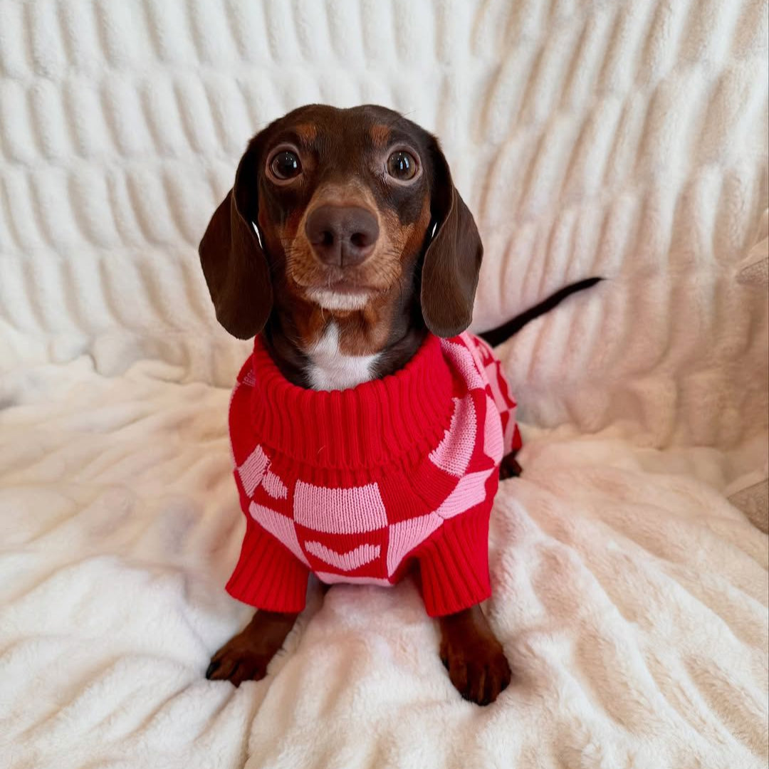 Roll Neck Dog Knitted Love Sweater Sunbean 
