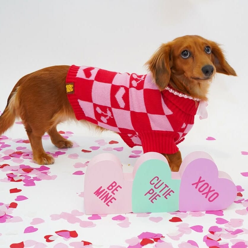 Roll Neck Dog Knitted Love Sweater Sunbean 