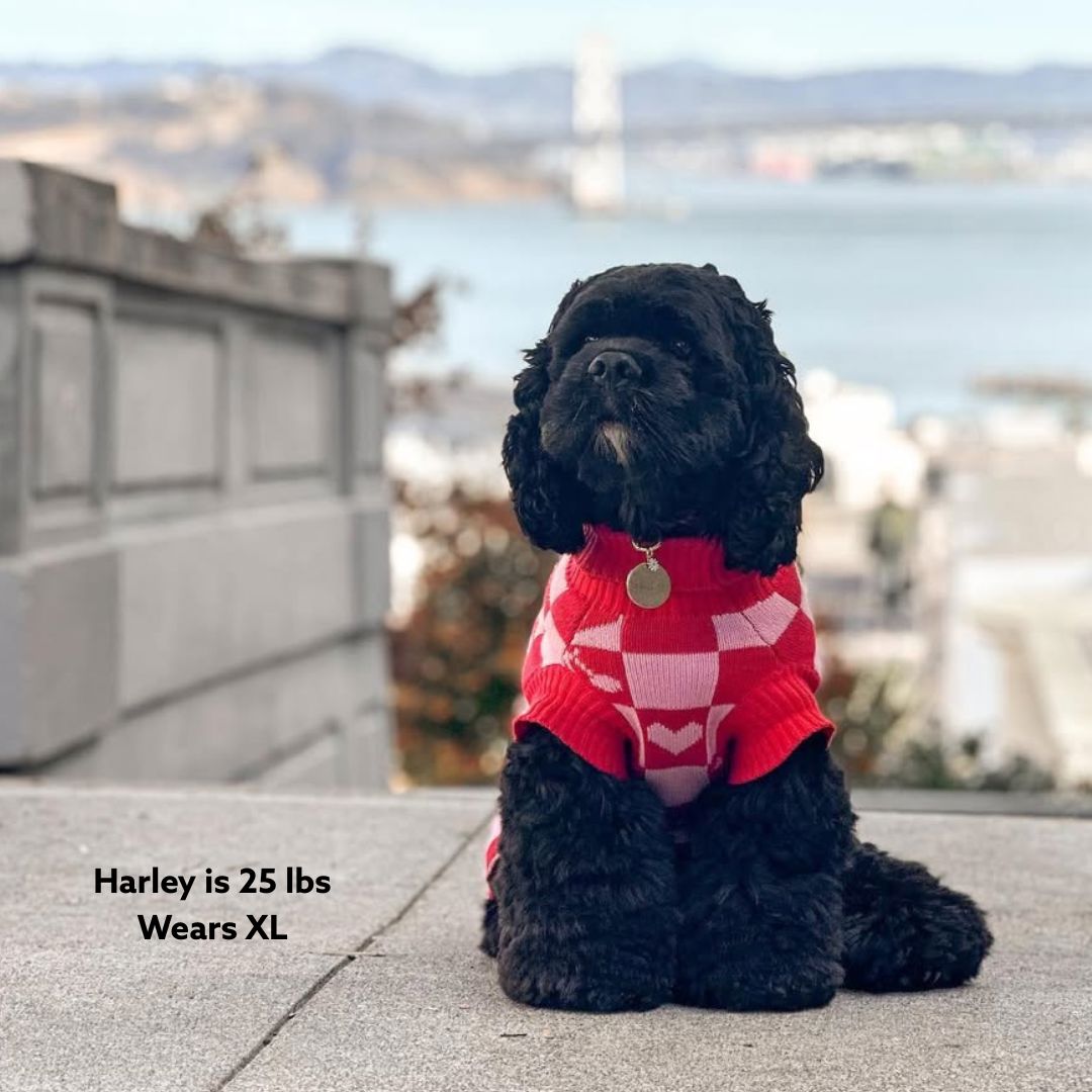 Roll Neck Dog Knitted Love Sweater Sunbean 