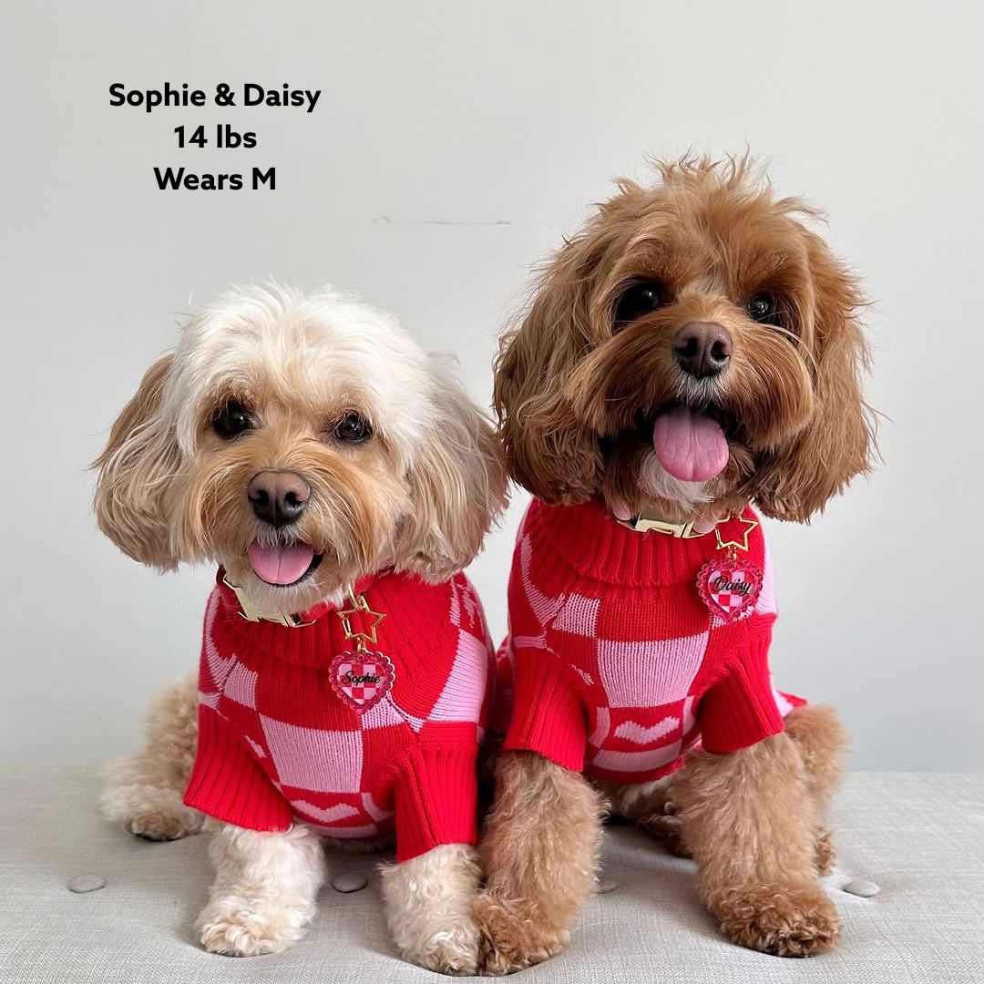 Roll Neck Dog Knitted Love Sweater Sunbean 