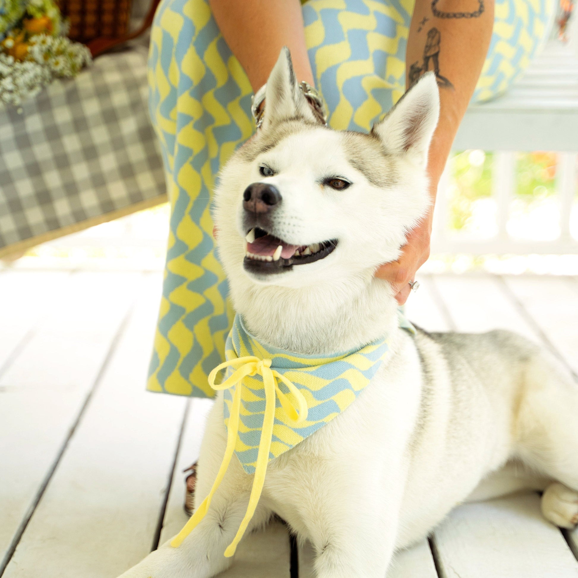 Seaside Swirl Cotton Knitted Dog Bandana Sunbean 