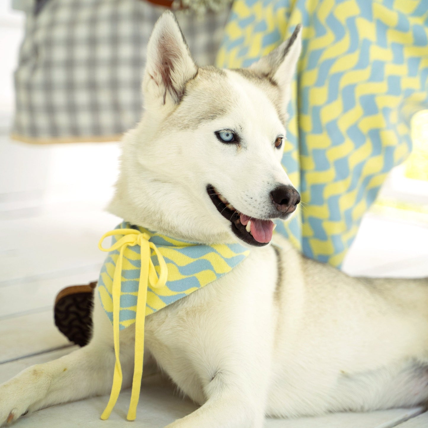 Seaside Swirl Cotton Knitted Dog Bandana Sunbean 