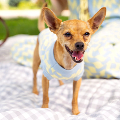 Seaside Swirl Cotton Knitted Dog Vest Sunbean 