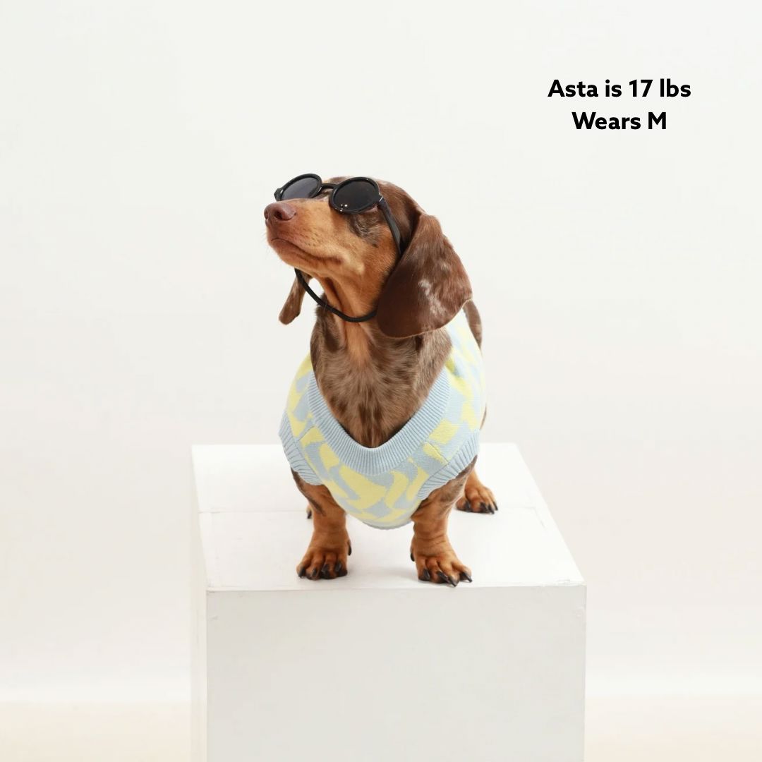 Seaside Swirl Cotton Knitted Dog Vest Sunbean 