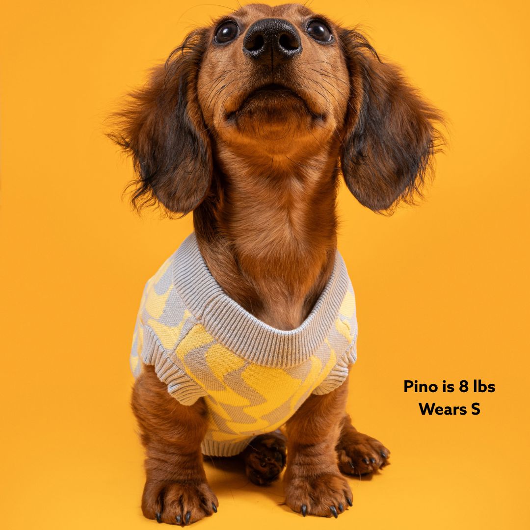 Seaside Swirl Cotton Knitted Dog Vest Sunbean 