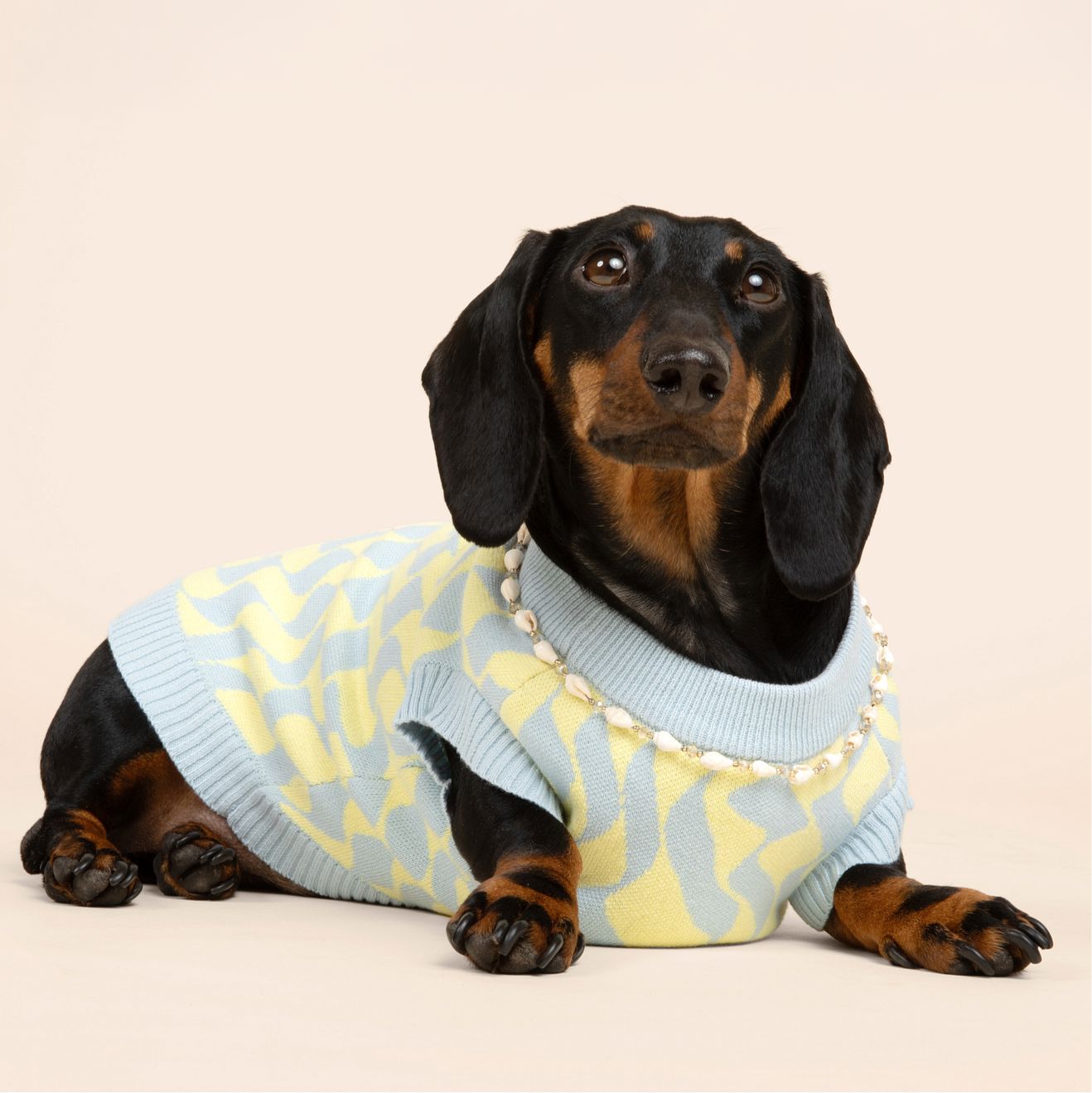 Seaside Swirl Cotton Knitted Dog Vest Sunbean 