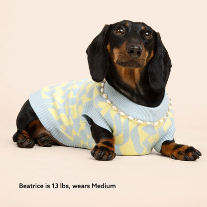 Seaside Swirl Cotton Knitted Dog Vest Sunbean 