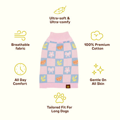 Shelly Cotton 2-Pieces Matching Sweater Set For Dog and Dog Mom Sunbean 