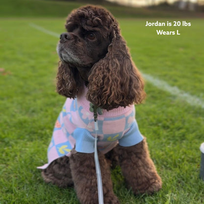 Shelly Roll Neck Knitted Dog Sweater Sunbean 
