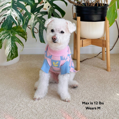 Shelly Roll Neck Knitted Dog Sweater Sunbean 