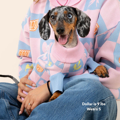 Shelly Roll Neck Knitted Dog Sweater Sunbean 