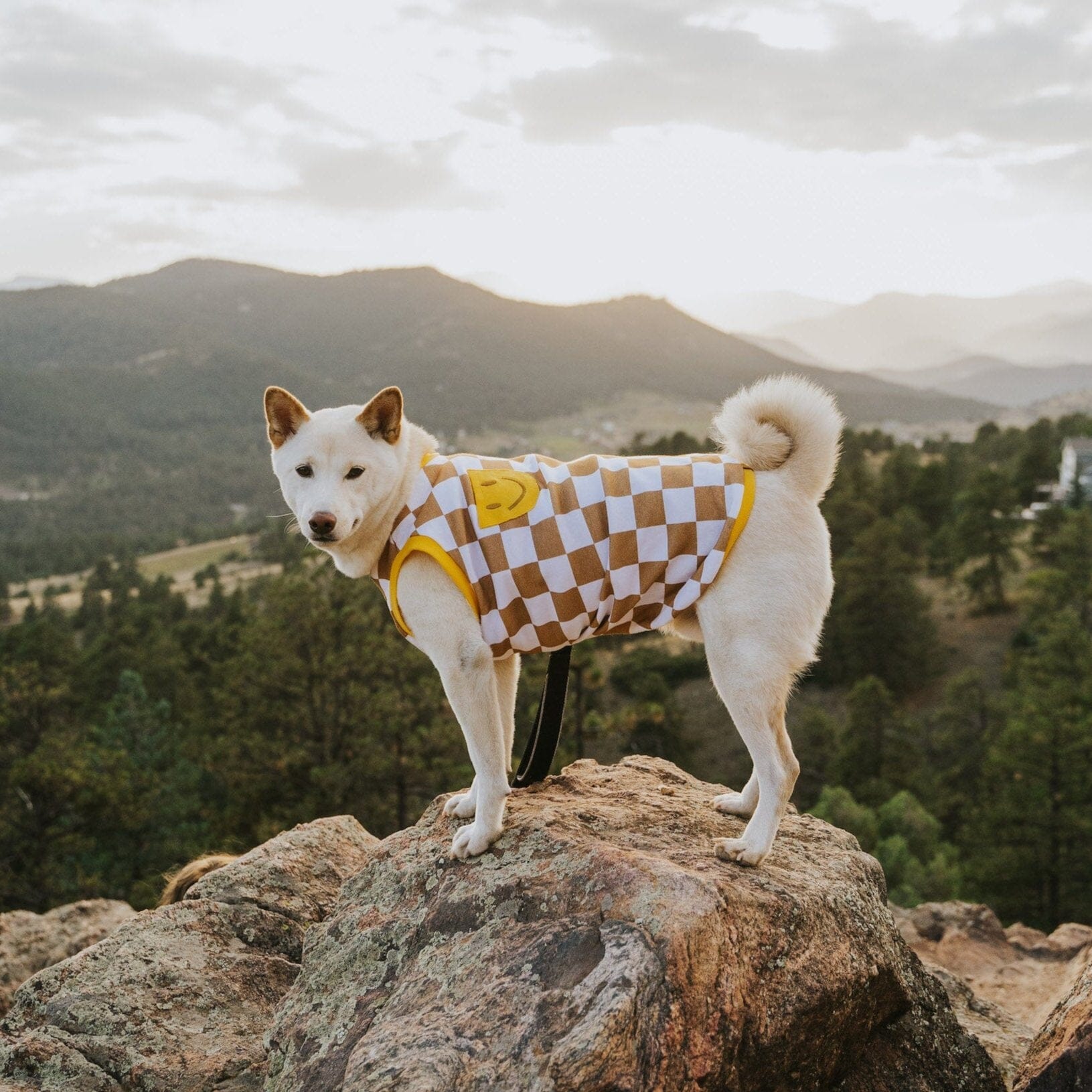 Smiley Cotton 2-Piece Matching T-shirt For Dog and Dog Parents Sunbean 