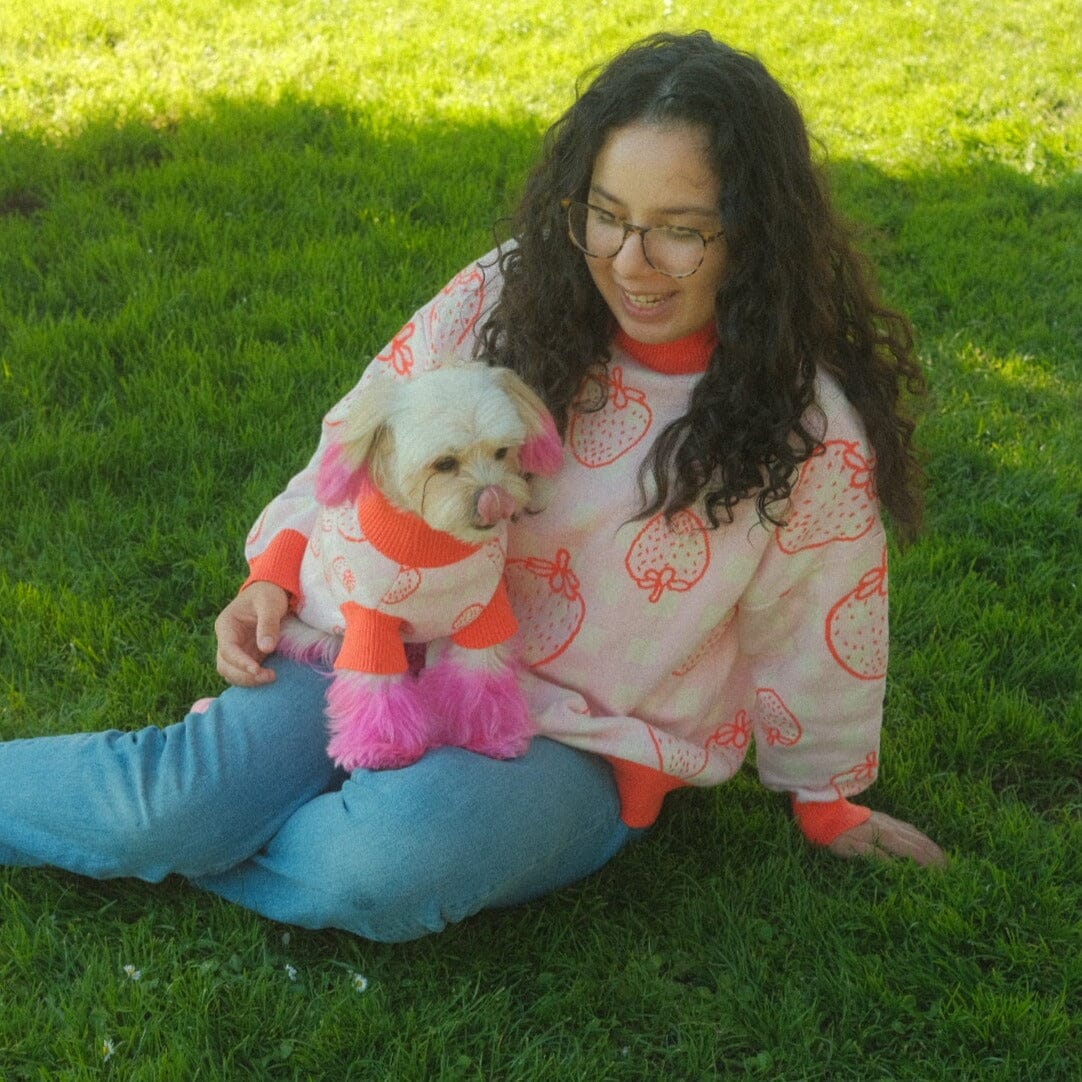 Strawberry Knitted Dog Sweater Sunbean 