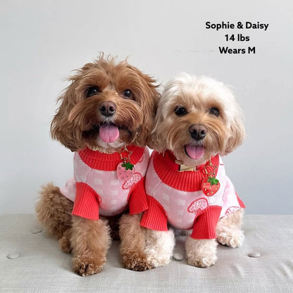 Strawberry Knitted Dog Sweater Sunbean 