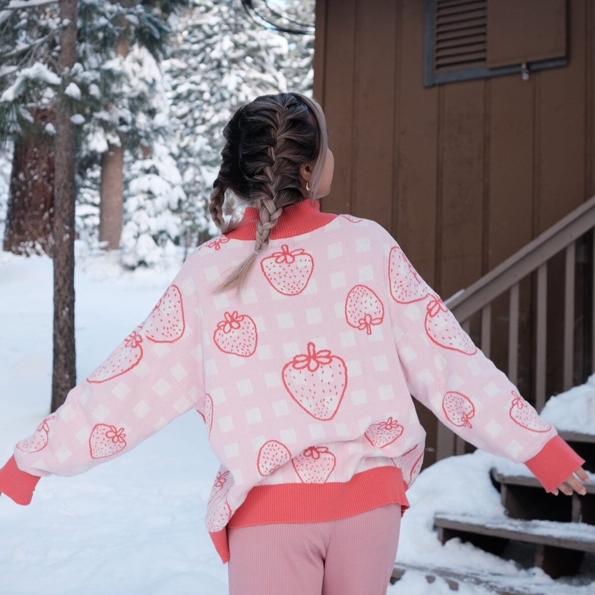 Strawberry Matching Sweater For Dog and Dog Mom Sunbean 