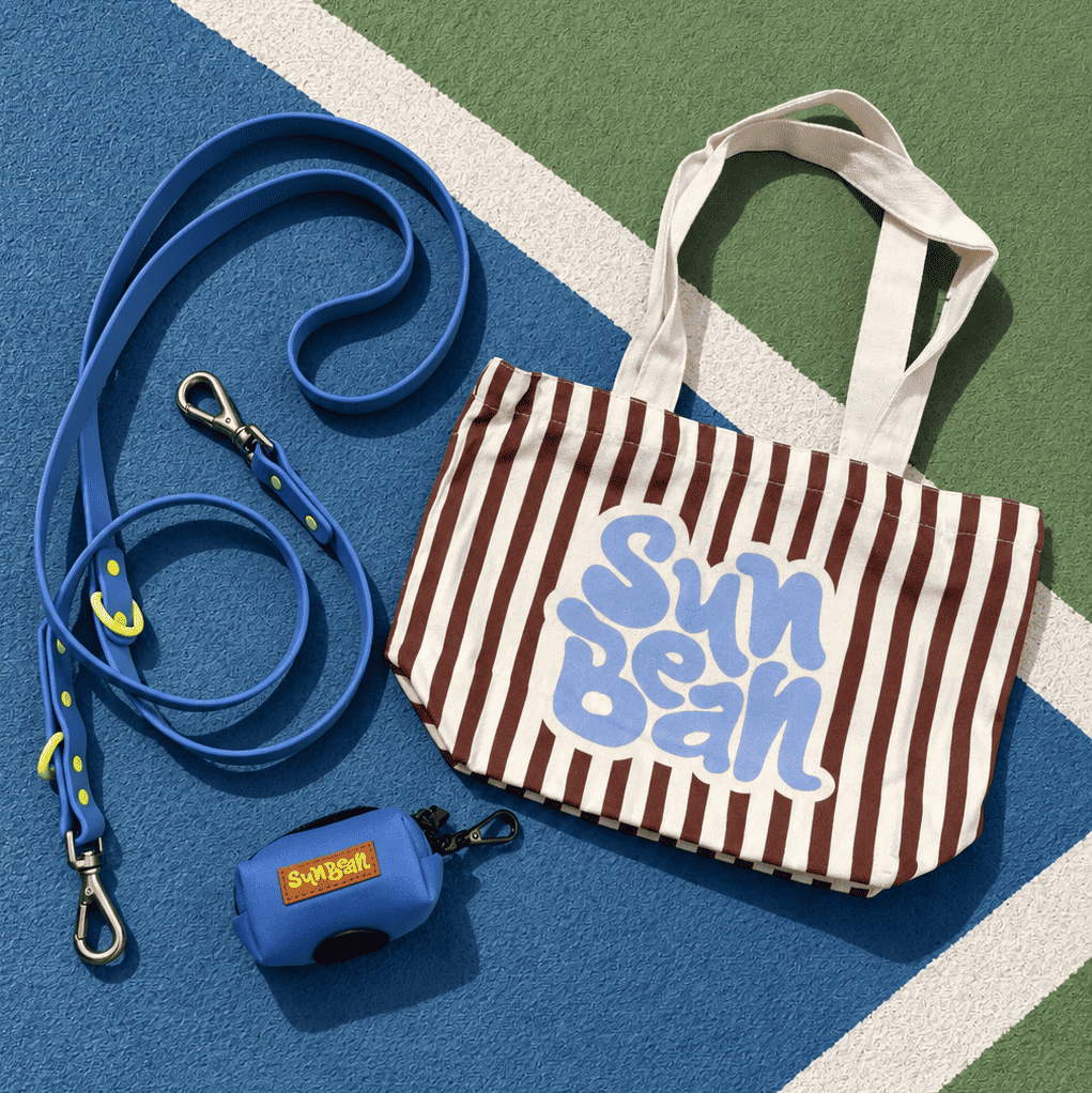 3-in-1 Dog Walking Bundle