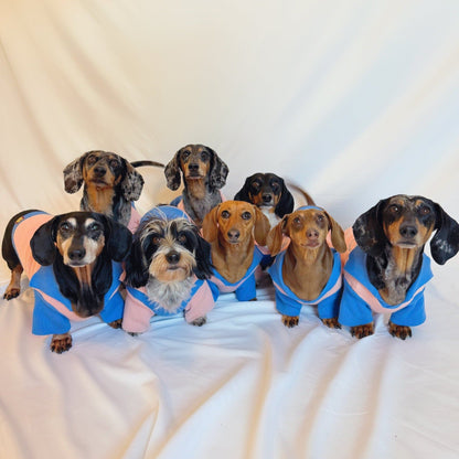 The Weens Dog Polo Pullover Sunbean 
