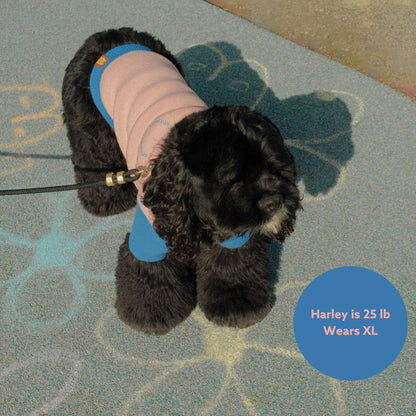 The Weens Dog Polo Pullover Sunbean 