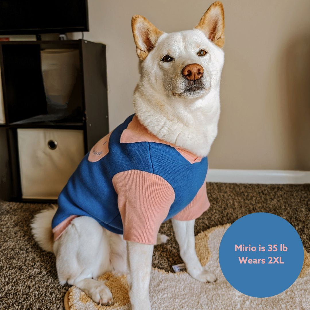 The Weens Dog Polo Pullover Sunbean 