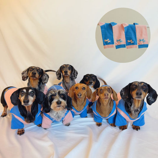 The Weens Matching Set Dog Polo and Human Socks Sunbean 