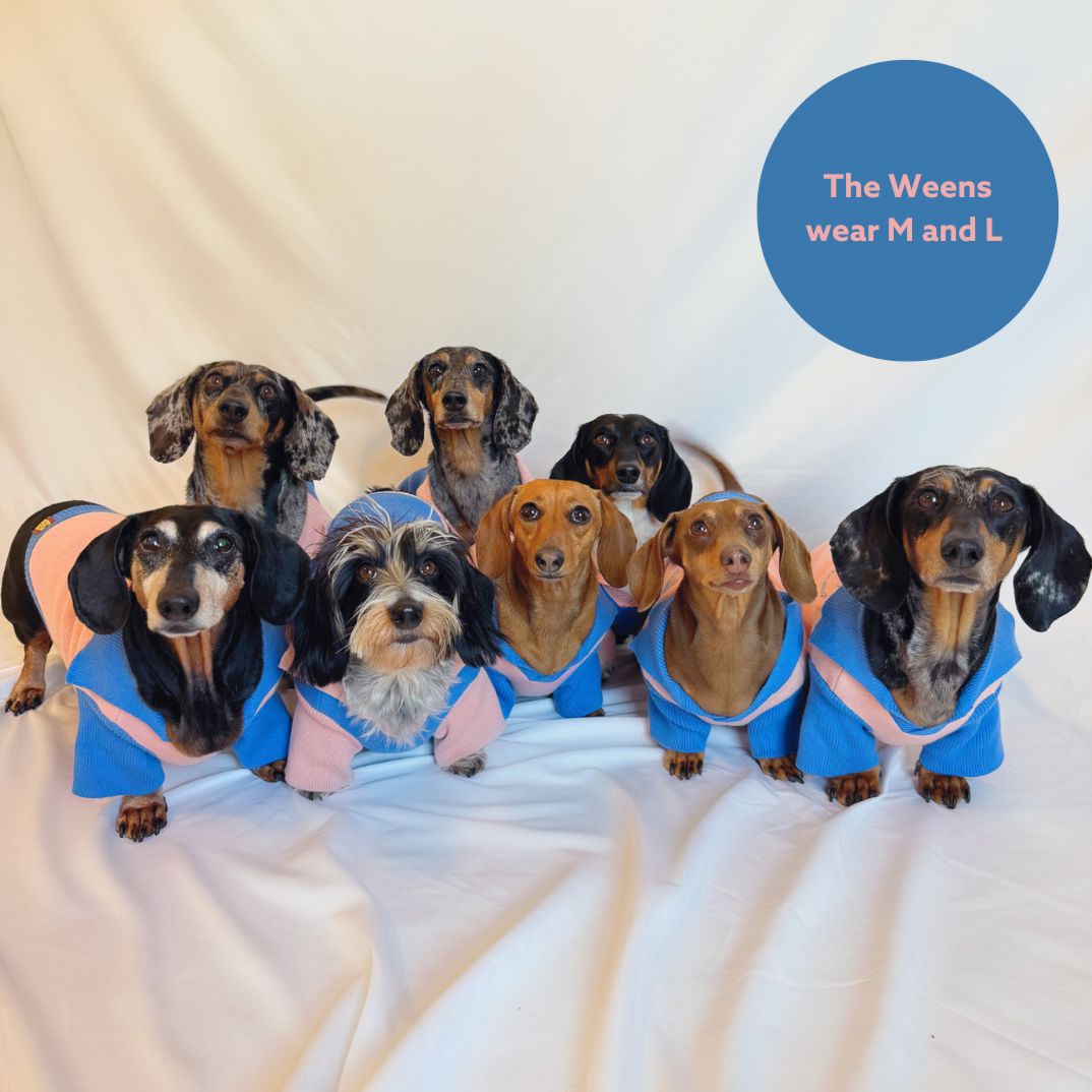 The Weens Matching Set Dog Polo and Human Socks Sunbean 