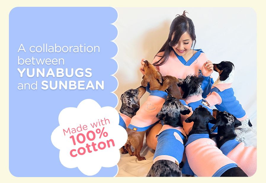 The Weens Matching Set Dog Polo and Human Socks Sunbean 