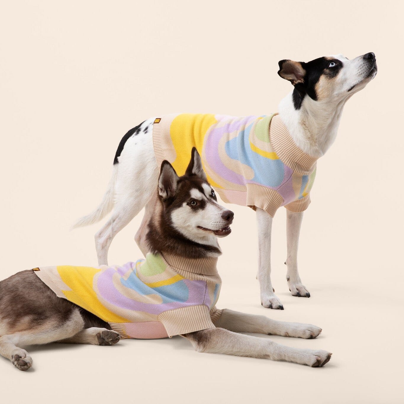Wavy Knitted Dog Sweater Sunbean 