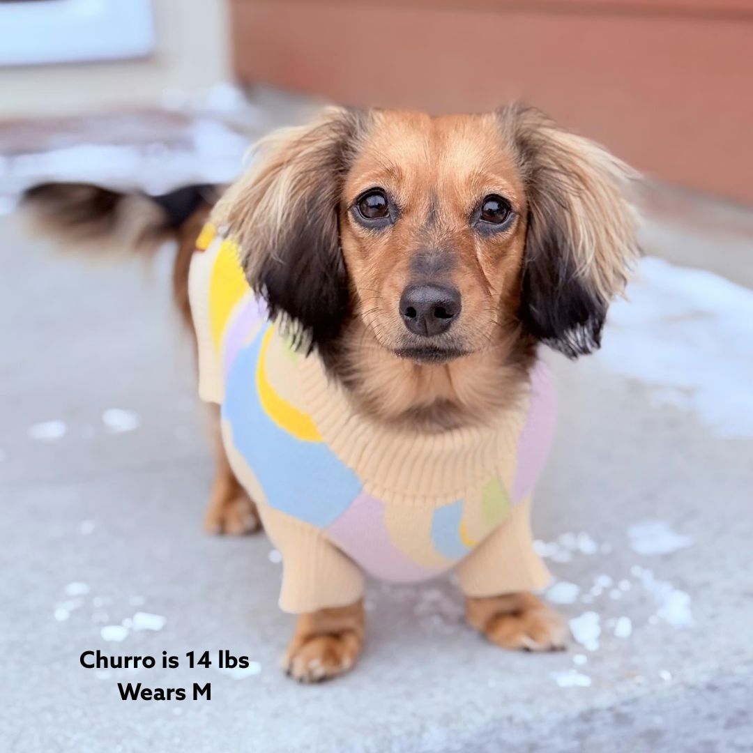 Wavy Knitted Dog Sweater Sunbean 