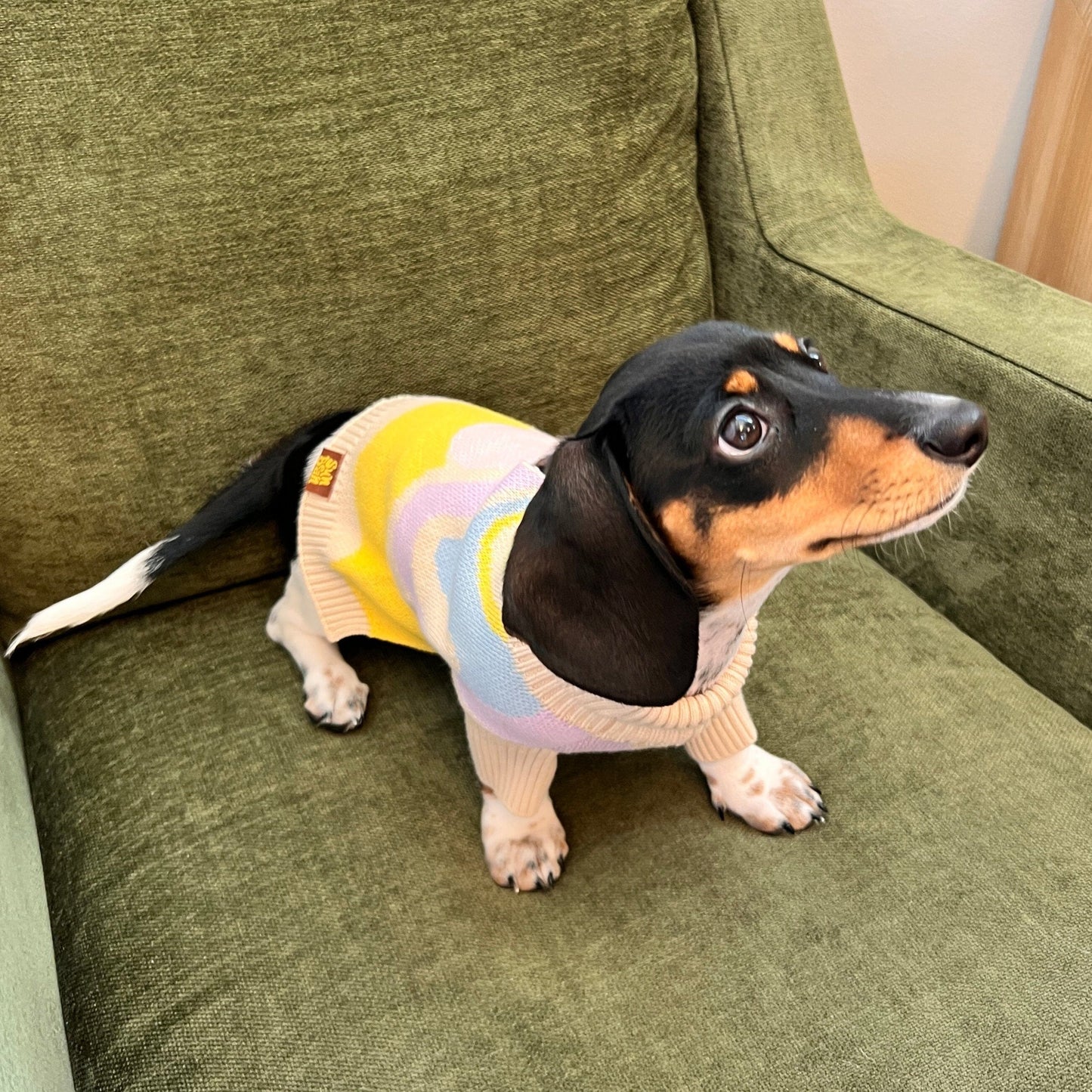 Wavy Knitted Dog Sweater Sunbean 