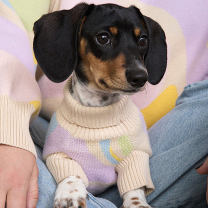 Wavy Knitted Dog Sweater Sunbean 