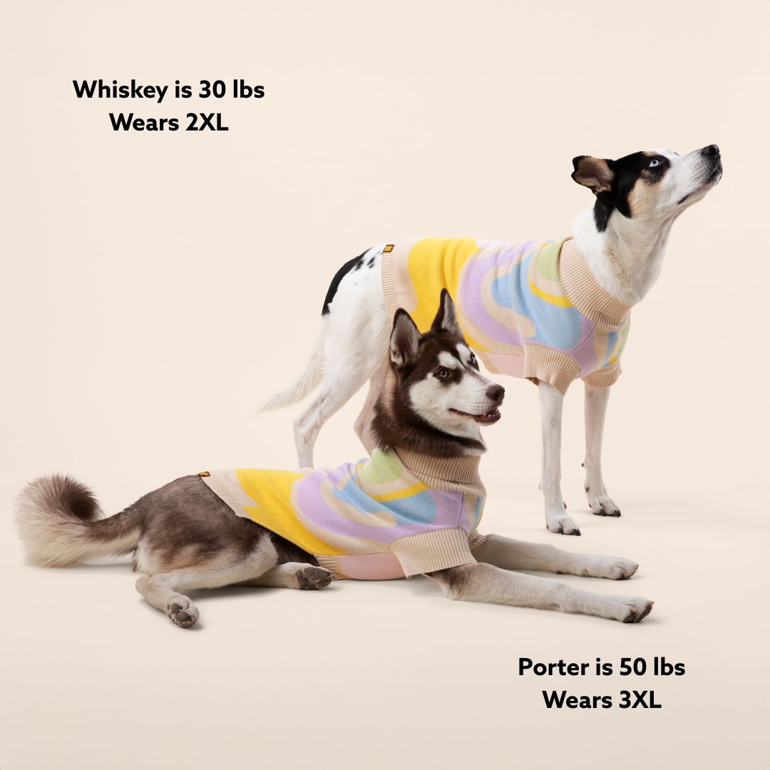Wavy Knitted Dog Sweater Sunbean 