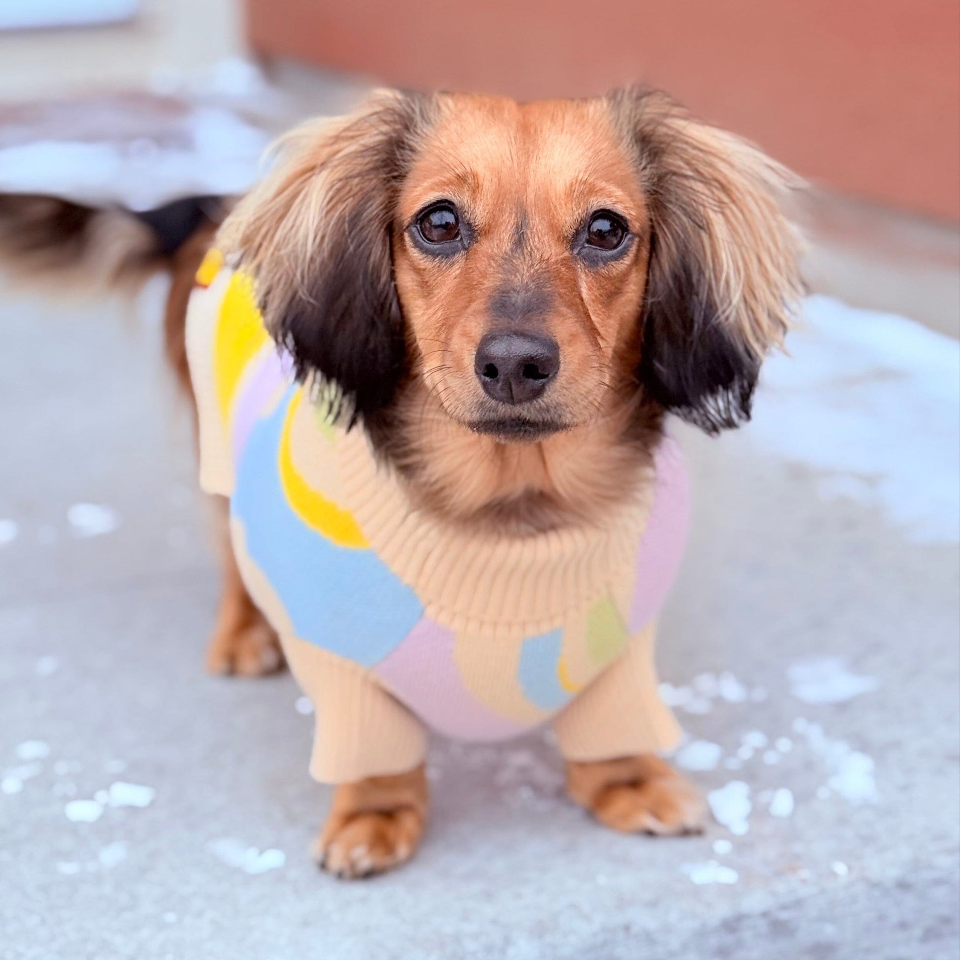 Wavy Knitted Dog Sweater Sunbean 