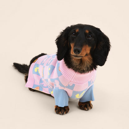 Shelly Cotton 2-Pieces Matching Sweater Set For Dog and Dog Mom