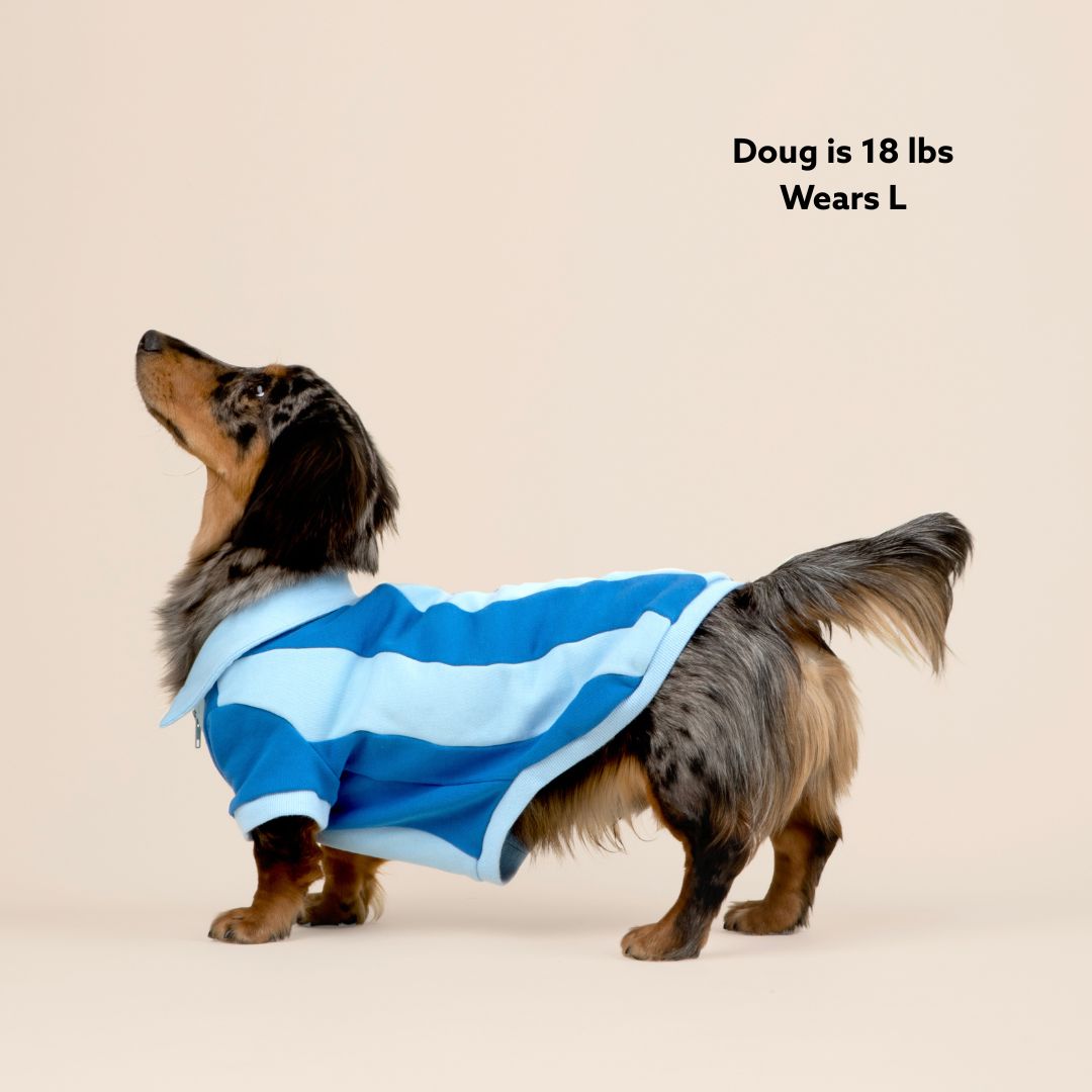 Ziggy Cotton Dog Quarter-Zip Pullover Sunbean 