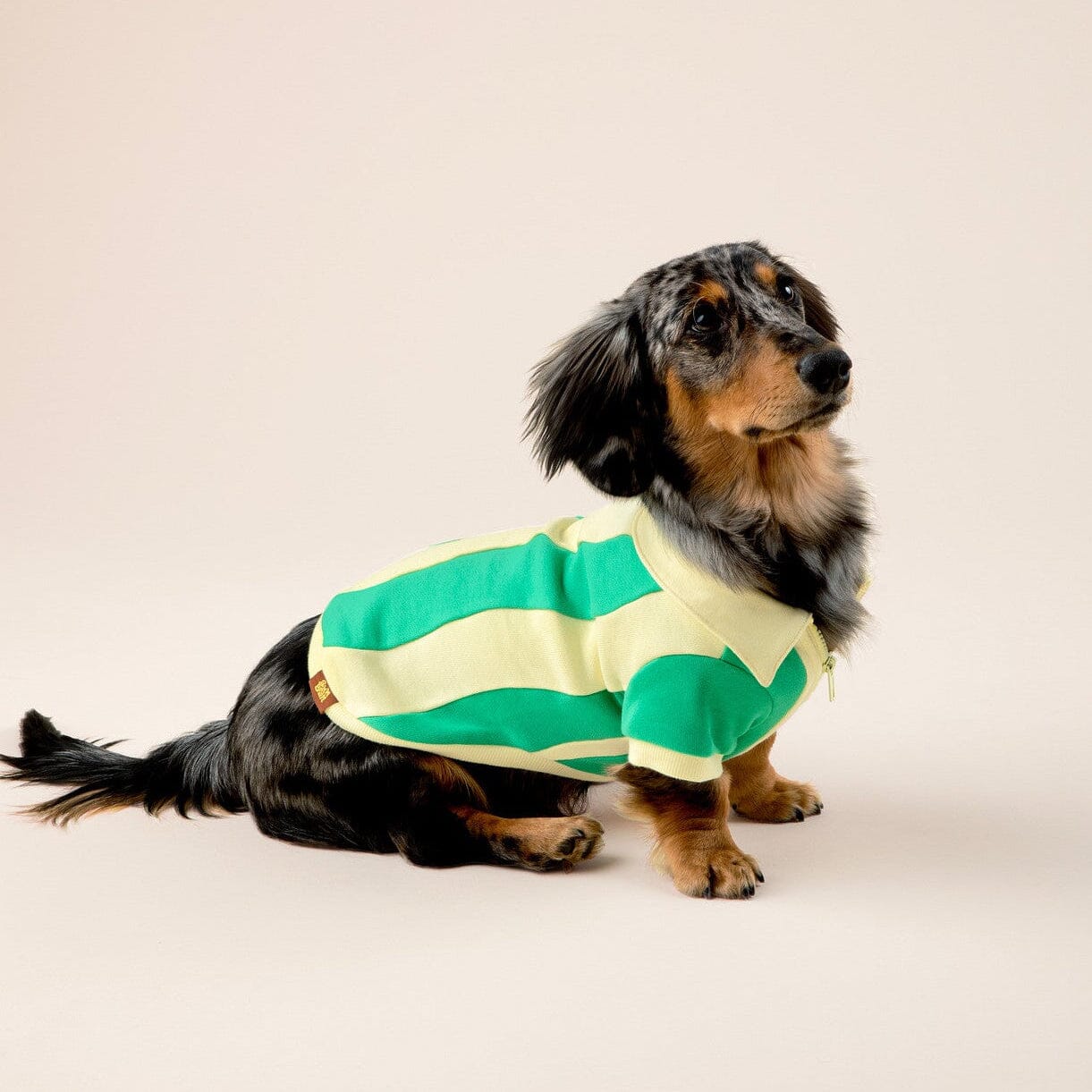 Ziggy Cotton Dog Quarter-Zip Pullover Sunbean 