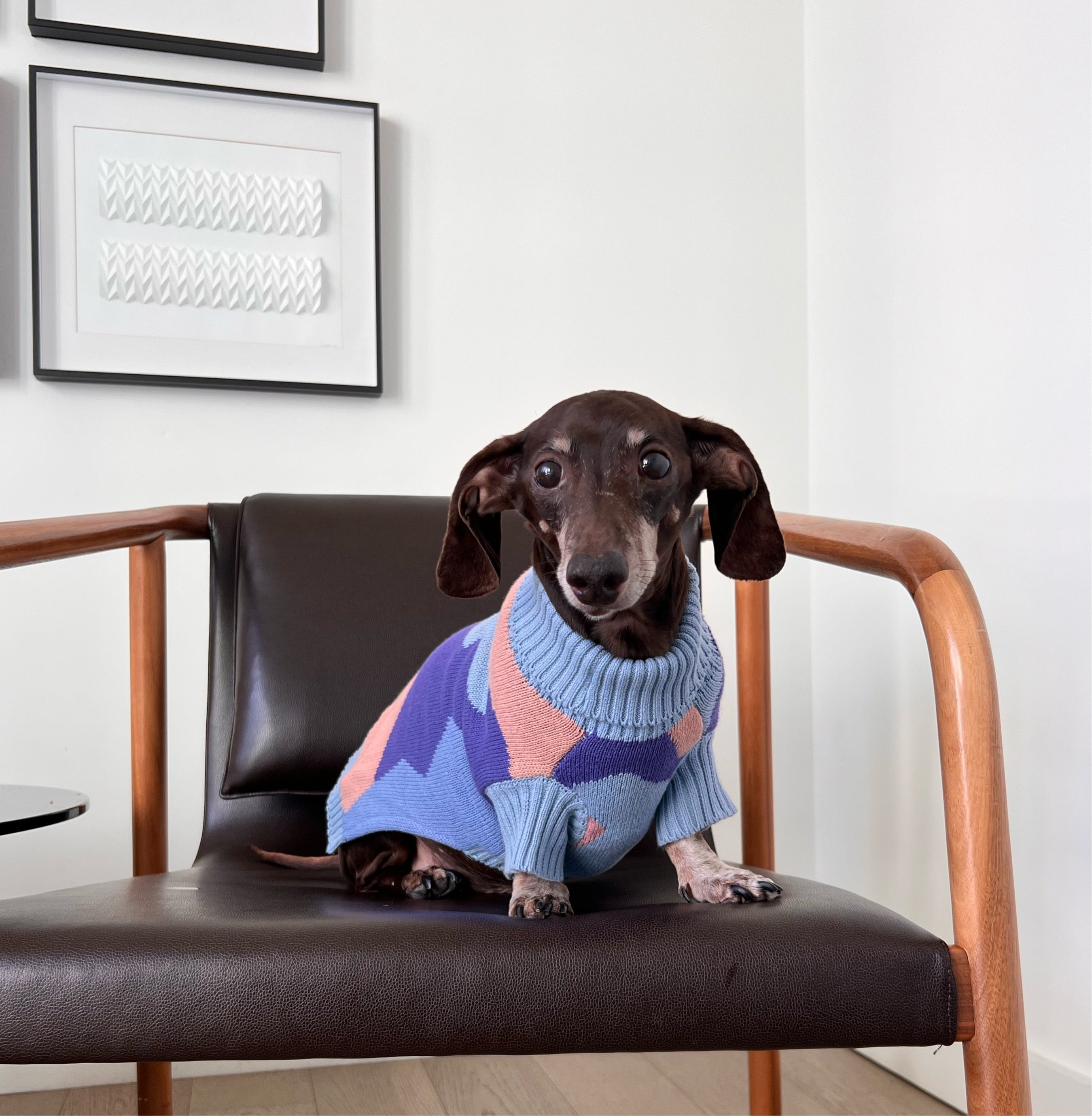 Get Your Pup Groovy with Our Knitted Sweater for Dogs | Buy now